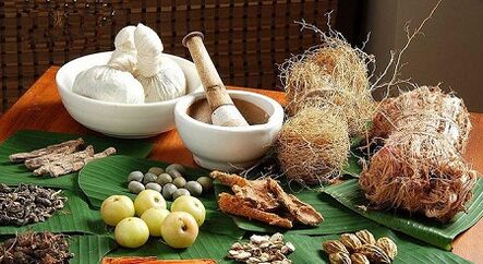 Folk measures against parasites in the body