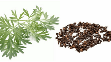 Clove and worm wood to remove parasites from the body