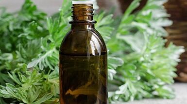 The use of wormwood to remove parasites from the body