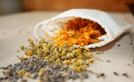 Herbal medicine to treat worms in adults