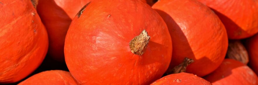 Anti-worm pumpkin