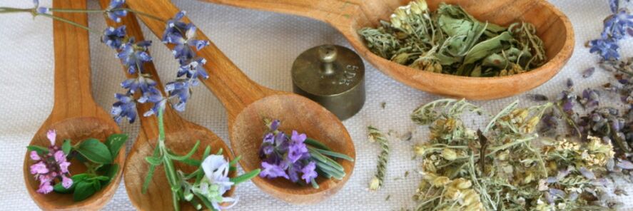 Combined herbal preparation against worms