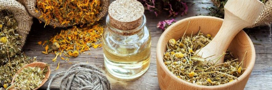 Folk remedies to treat worms